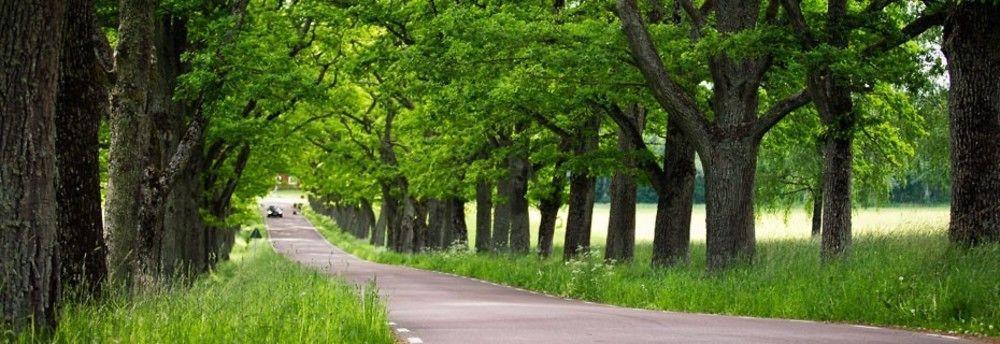 Knusesund Herrgard Säffle Εξωτερικό φωτογραφία